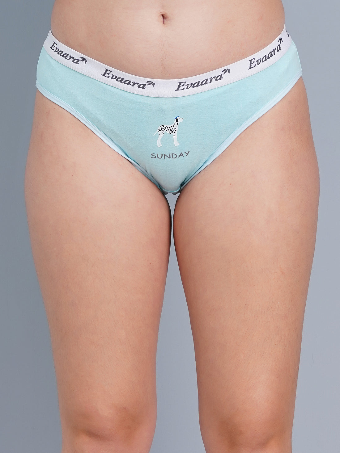 Comfort Fit Cotton Bikini Panty – Soft Stretch Everyday Brief Sunday