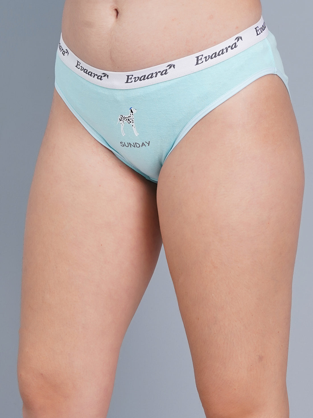 Comfort Fit Cotton Bikini Panty – Soft Stretch Everyday Brief Sunday