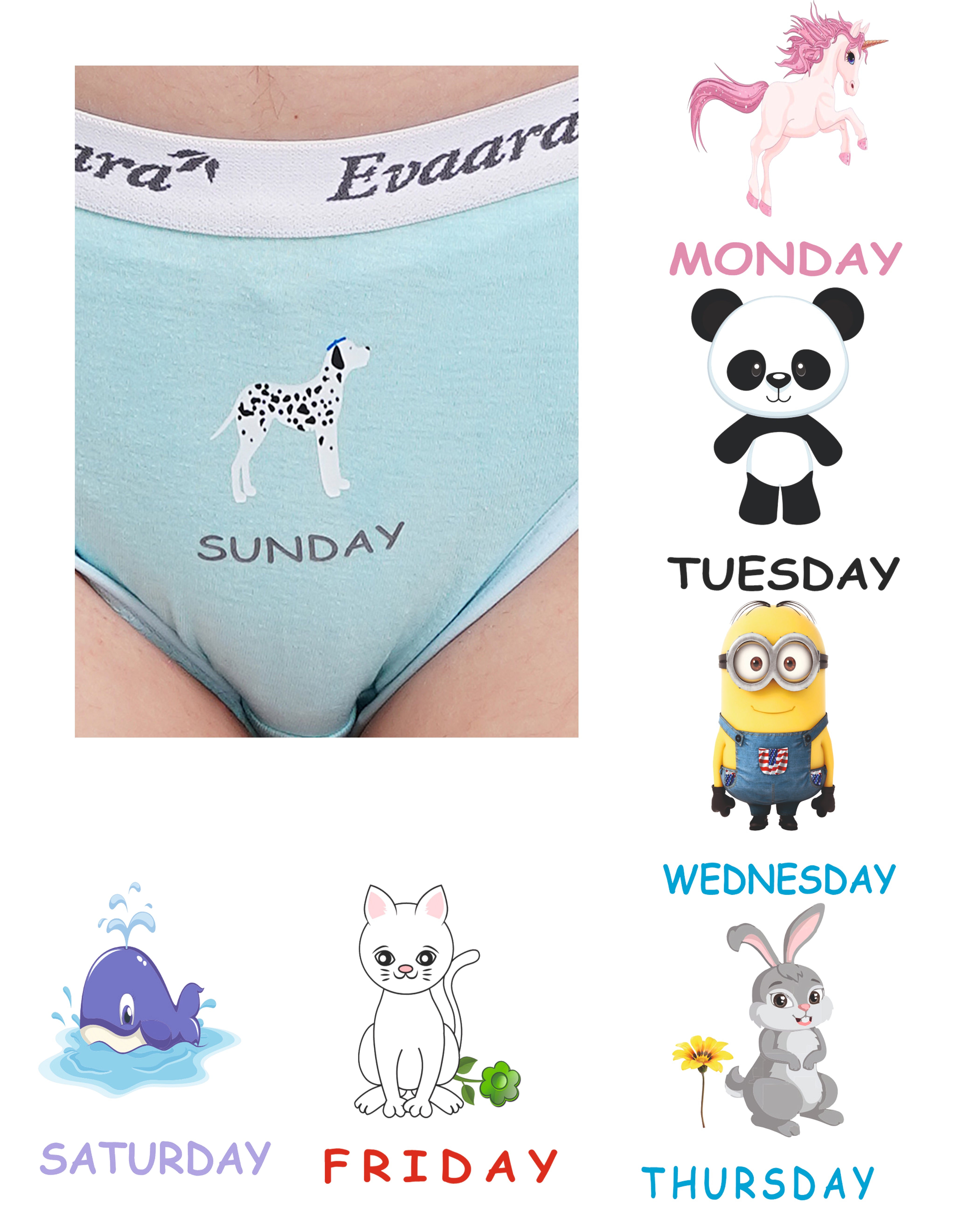 7 Pcs 100% Pure cotton washable all days stickers brief hipster mid rise
